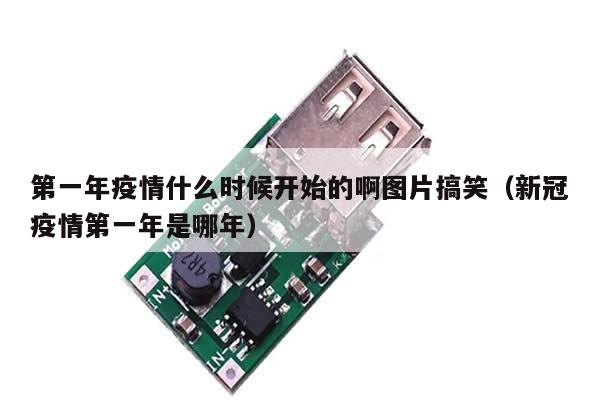 第一年疫情什么时候开始的啊图片搞笑(新冠疫情第一年是哪年)