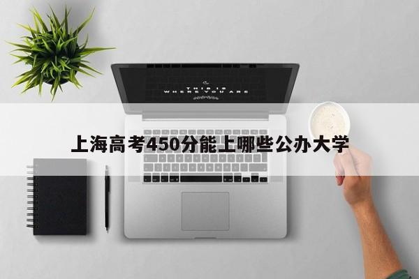 上海高考450分能上哪些公办大学